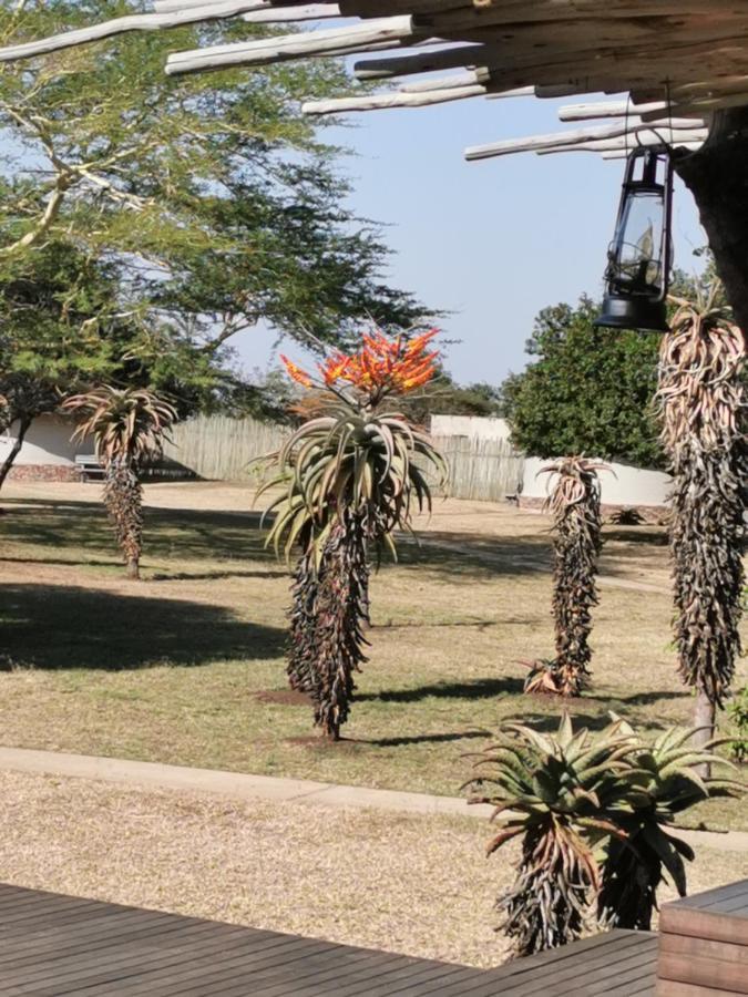 Bayala Private Safari Lodges Hluhluwe Ngoại thất bức ảnh