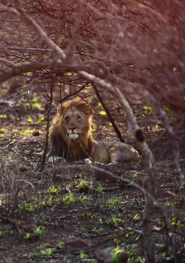 Bayala Private Safari Lodges Hluhluwe Ngoại thất bức ảnh